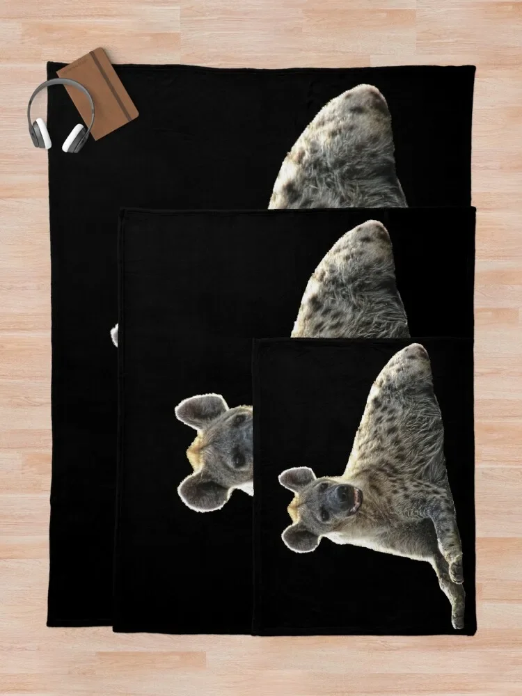 ���̿��� �ɳ� ������ī ������ ���, ���ſ� ����, ���ڱ�, ���� ħ�� ���