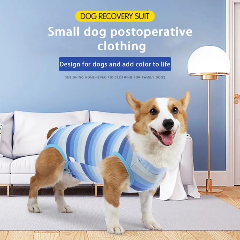 

Pet Sterilization Surgery Suit Pet Dog T-shirt Dog Vest Clothes for Small Dogs French Bulldog Puppy Cat Suit Dog Costume
