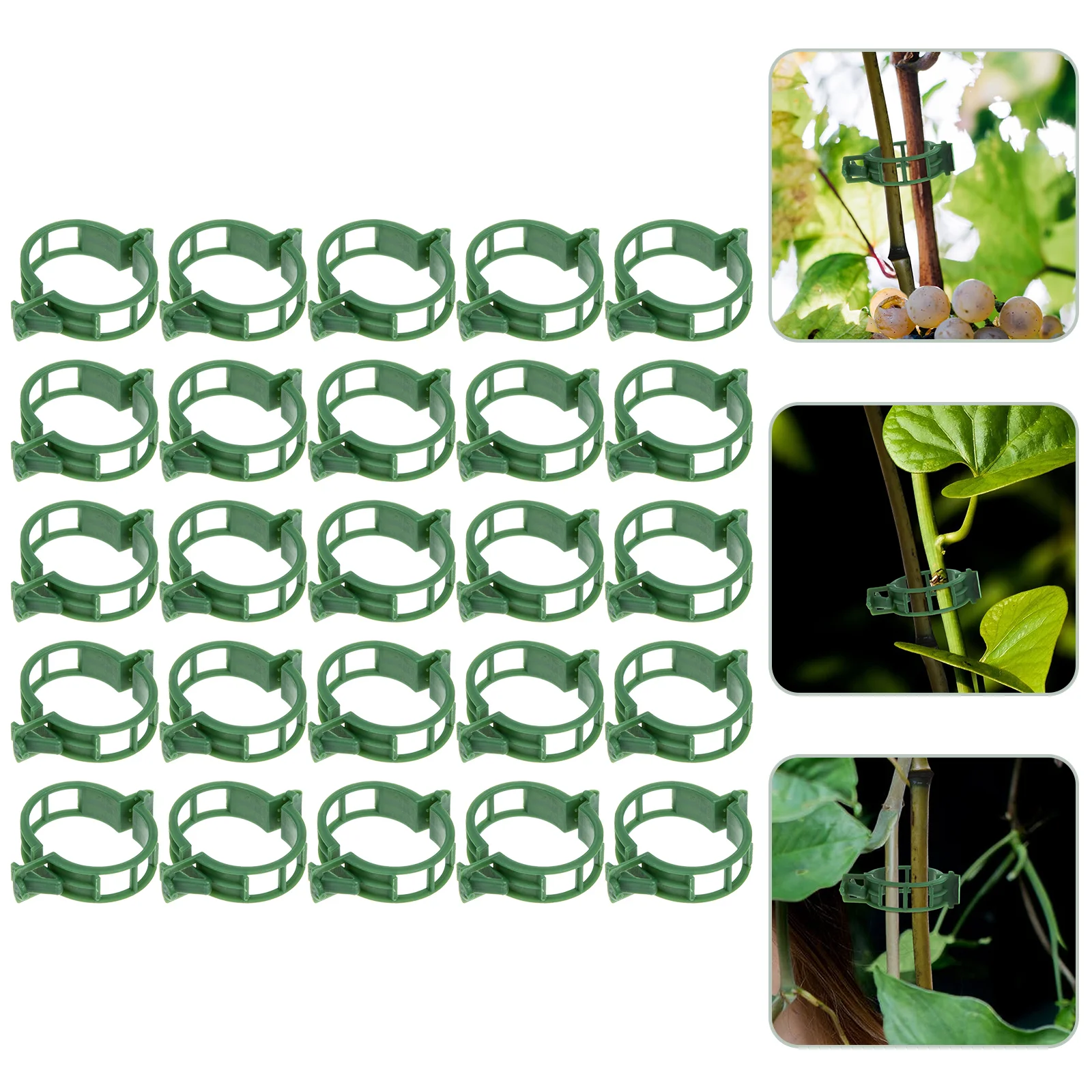 200-Pcs-Plastic-Vines-Garden-Rattan-Clips-Plastic-Support-Clamp-Stem-Supports-Orchid-Vine.jpg 200 Db Műanyag Szőlő Kerti Rattan Klipek Tartó Bilincs Szárát Támogatja Az Orchidea - Image 3