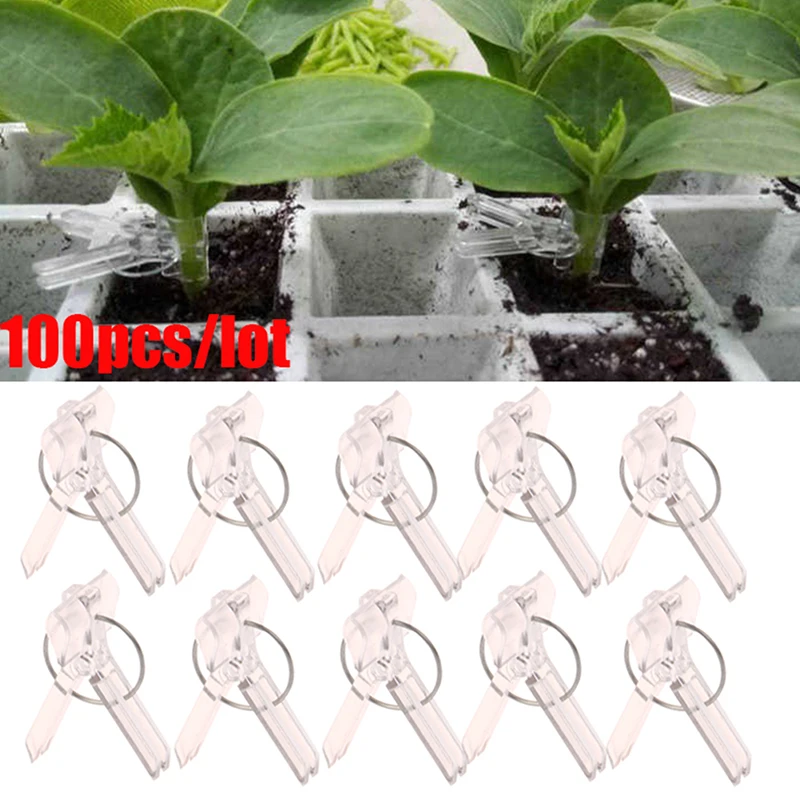 Plant Clips Plastic Plant Clips 100Pcs 15x35MM