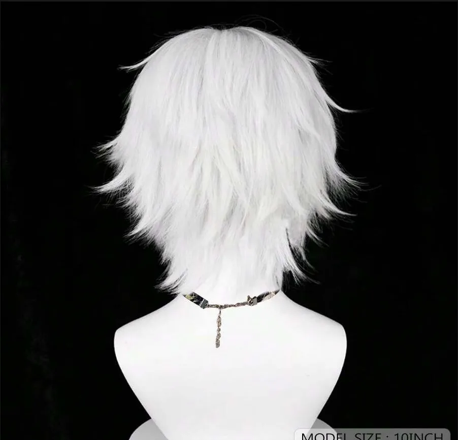 White Men Short Synthetic Straight Fluffy Wig Anime Game Cosplay Wig Heat Resistant For Daily 4