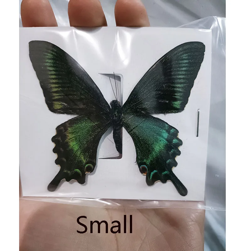 38 Real Butterfly Specimens Insect Figurines Production Charm Home Decoration Accessories for Living Room Collection Art 