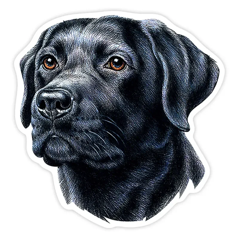 

15cm Personality Labrador Retriever Black Waterproof and Sunscreen Auto Decors on Bumper Rear Window Decal