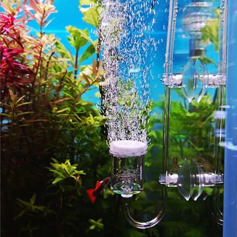 Pompe à Air Aquarium Silencieuse 1.8L/min Avec Pierre à Bulles - 2.5W - US Plug