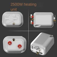 2500W Home Appliance Steam Cleaner High Temperature Pressurized Steam Cleaning Machine for Sofa,Air Conditioning Hood Car Cleane 2