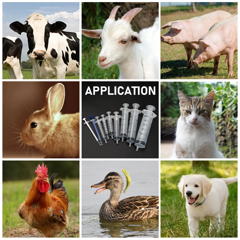 Pet Animal Disposable Syringe pet syringe disposable plastic syringe 5pcs No Needle Plastic Injector Bid feeding Syringe Hydroponics Lab Medical Tool Nutrient
