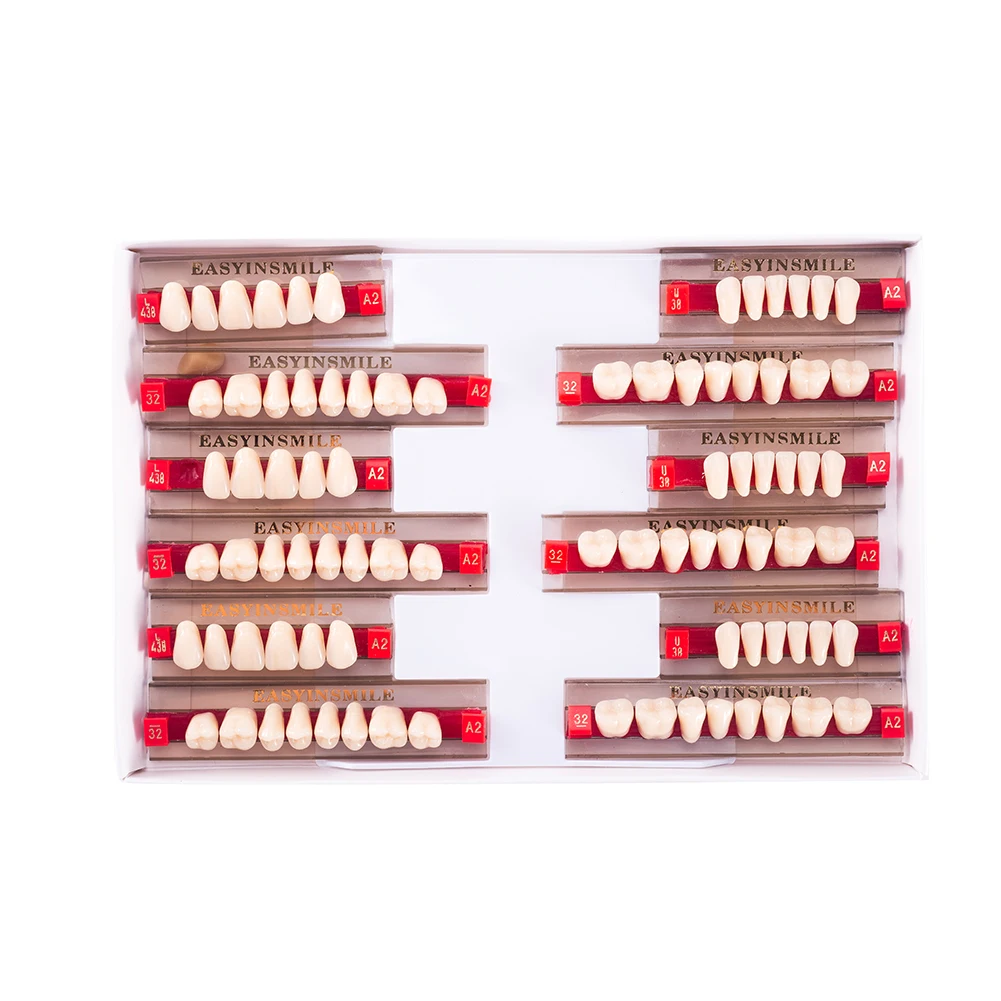 16/12 Sets/ Box Dental Denture Teeth Upper Anterior Lower Dentier Teeth A1 A2 A3 Synthetic Polymer Dental Education teeth Model 5