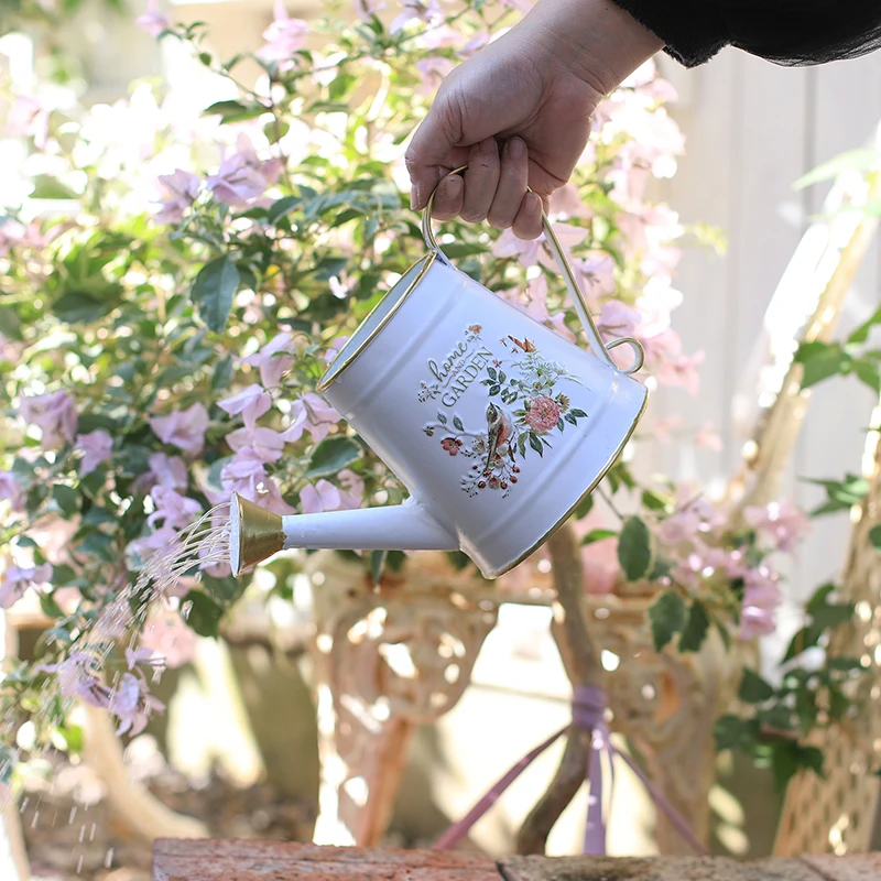 Wrought Iron Watering Can Long Spout Large Capacity Garden Kettle Home Succulents Indoor Outdoor Plants Patio Flower Care jardin