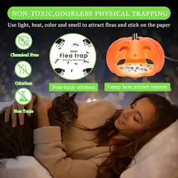 Flea Trap Sticky Bug Trap Insects Indoor Pest Control Trapper Natural Pumpkin Shape Insect Killer Pad With Sticky Non-Toxic Safe
