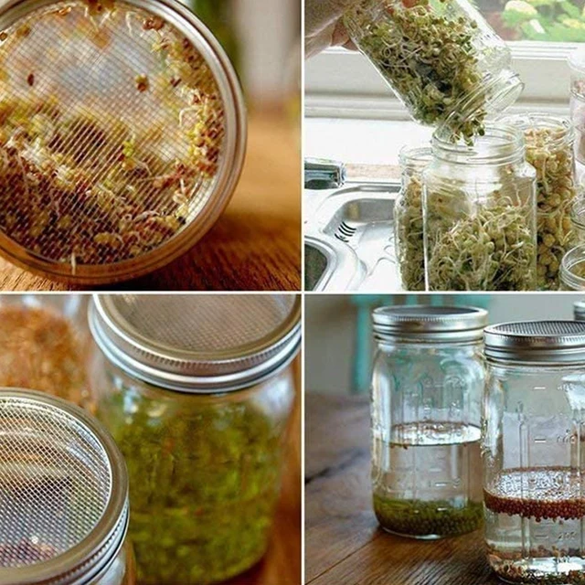 Kőműves Edény Csírázó Fedelek Óvodai Rozsdamentes Acél Vetőmag Hálószűrő Szűrő Jar Kerti Üvegház - Image 6