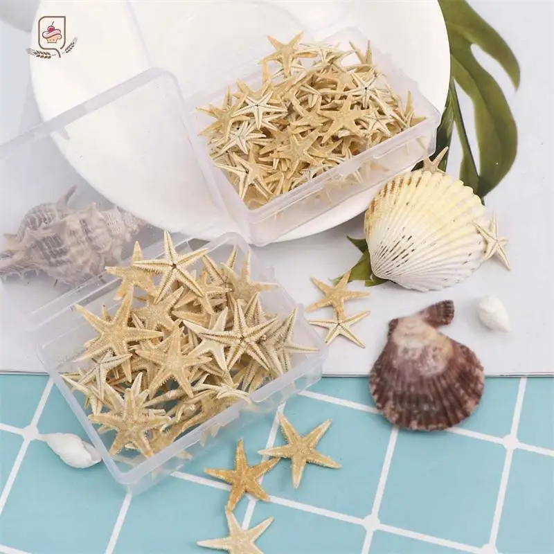 1Box/1pc Round Square Natural Starfish Seashell Beach Craft DIY Beach Wedding Decoration Crafts Home Decor