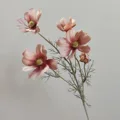 Pastel pink