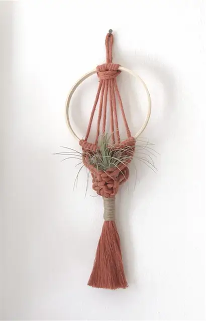 Air Plant Holder 03