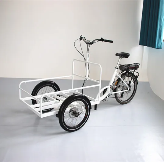 3 Wheel Adult Bike Bicycle Used for Carrying Good Cargo Bike Adult Tricycle Cargo Van