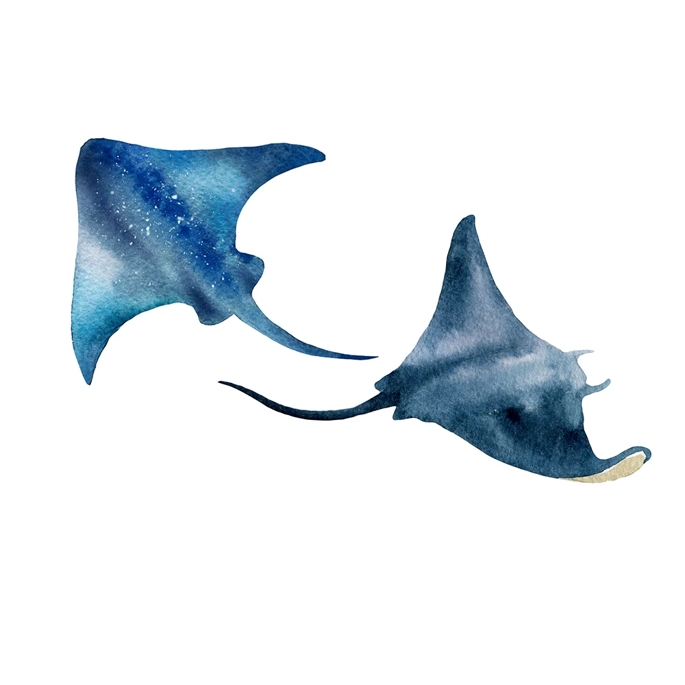 Devil rays Manta Fish Wall Stickers Window Stickers For Home Bathroom Decor Art Nursery Decals Removable Murals Applicable to Tile Glass Window