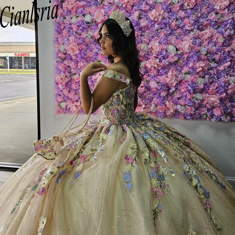 

Princess Quinceanera Dresses Ball Gown Sweetheart Appliques Beaded Sweet 16 Dresses 15 Años Mexican