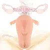 Real Vagina Masturbation Male Uterus Device Masturbation Cup Simulation Design Pocket Pussy Breast Ball Adult Sex Toys for Man 1