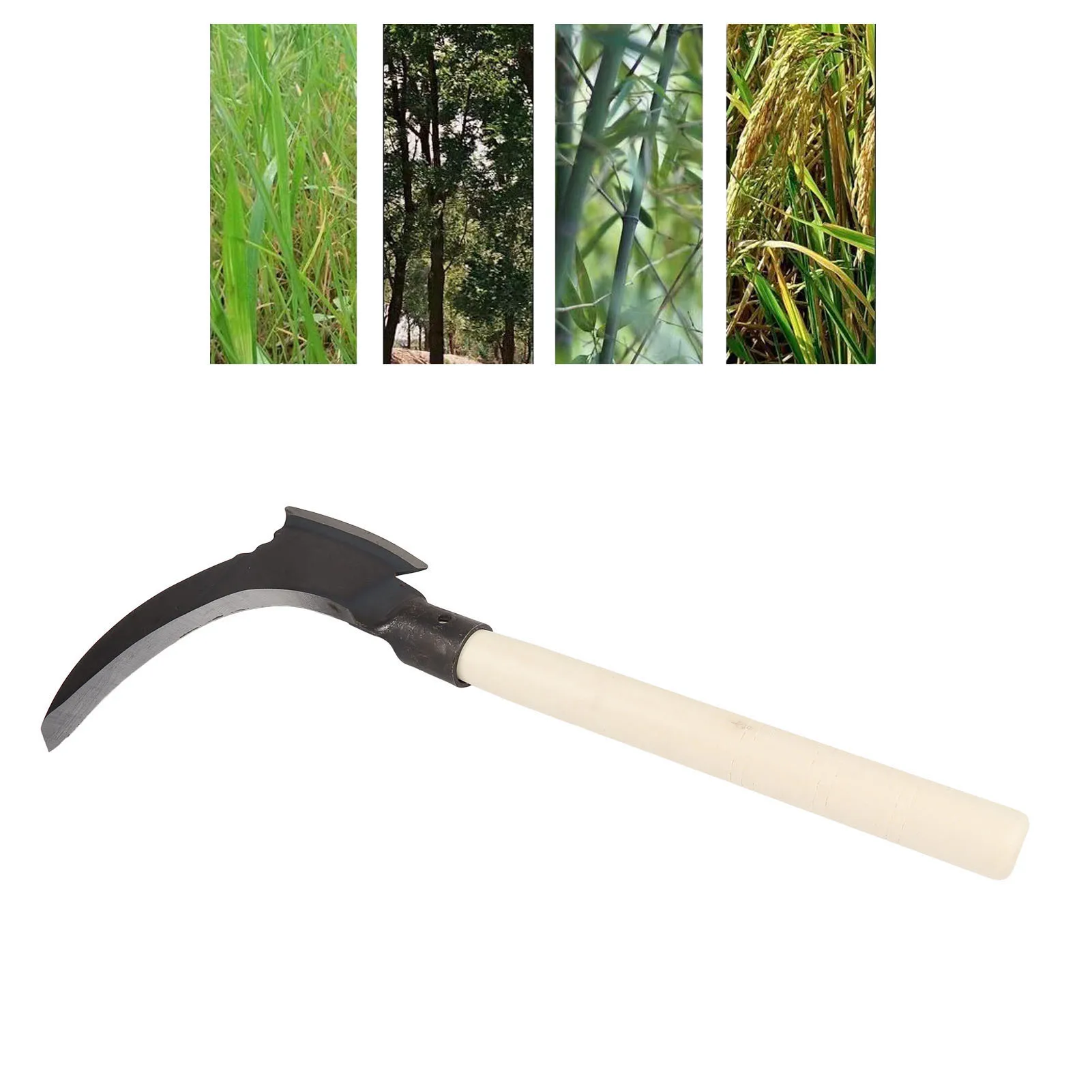 Slide image b98feafefd984b2fb18293c7d77dba0e