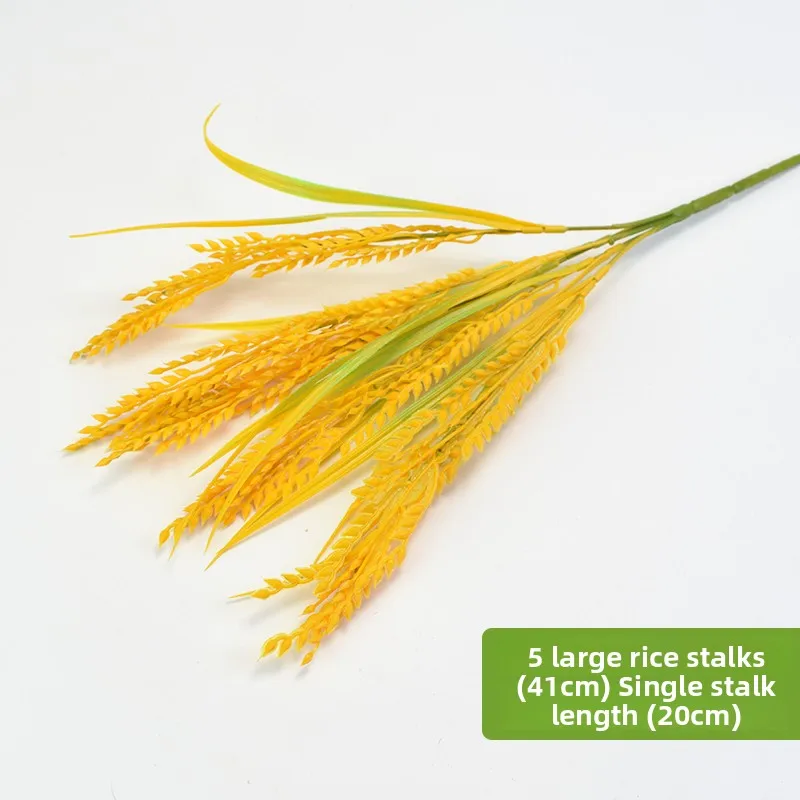 5 large rice plants