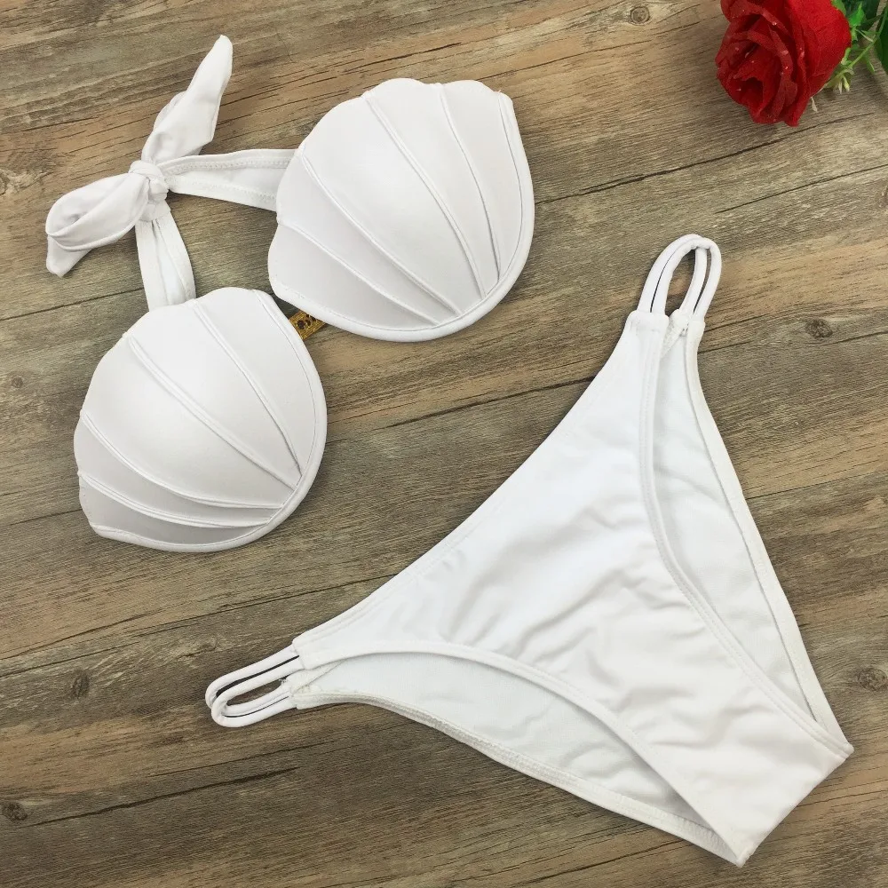 White seashell