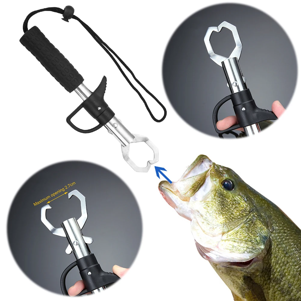 Slide image 8912b85cad404efab90af7051ef3ab8f