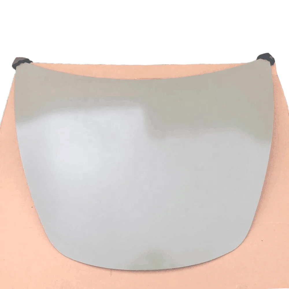 Car Hood for Tesal Model 3 OE NO. 1081390-E0-C