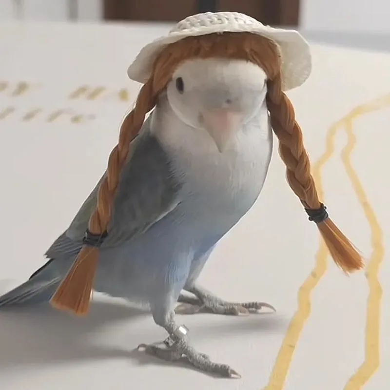 Hat Cockatiel Party Budgerigar Cockatiel Peony Parrot Hand Woven - Main Image