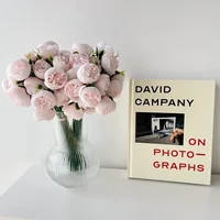 27 Heads Artificial Silk Peony Bouquet Luxury Home Decoration Table Flower Photography Props Fake Flower Wedding Bride Flower 3