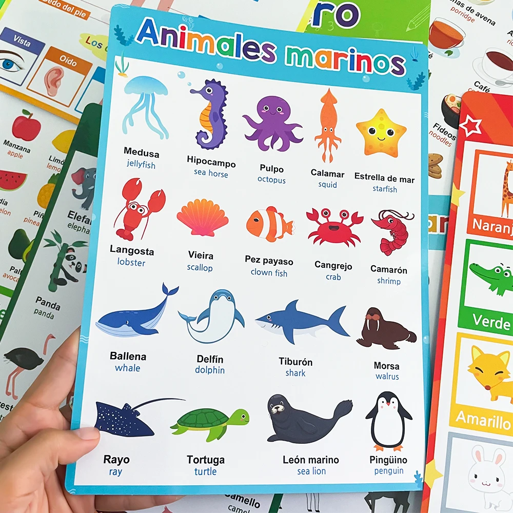 Spanish English Bilingual Words Learning A4 Posters Charts for Kids Kindergarten Classroom Decoration Teacher Teaching Aids 5