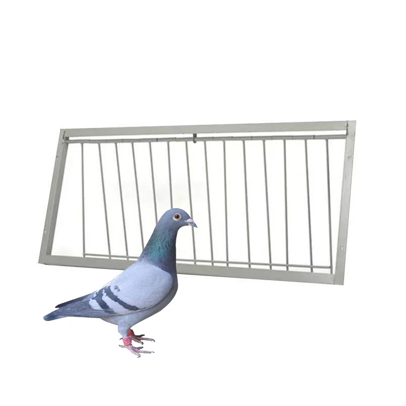 Porta Trappola Per Piccioni 40x26 Cm - In Ferro Verniciato Per Gabbie E Voliere - Foto 7