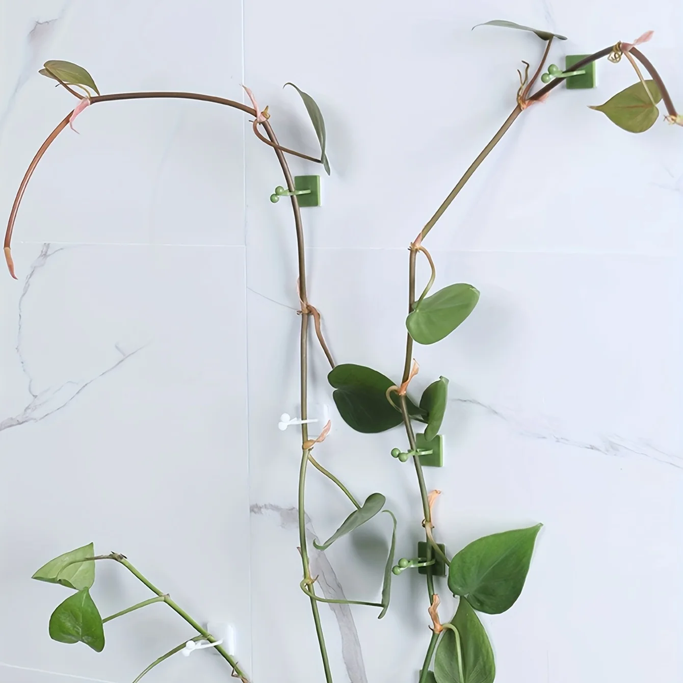 Plant Fixer, Green Vines and Basket, Wall Hook
