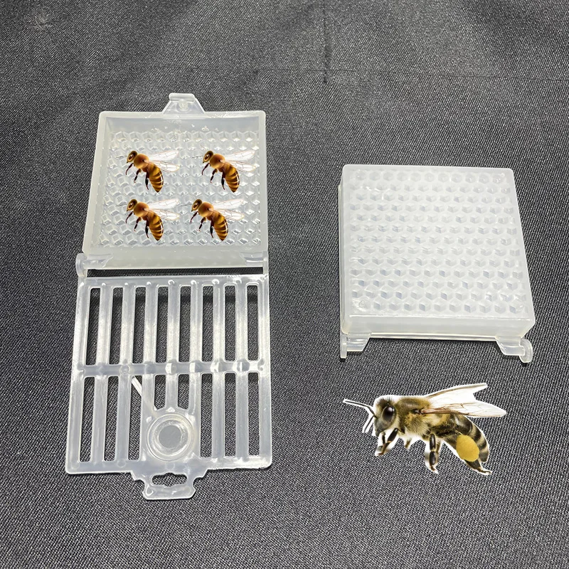 Beekeeping Transport Queen Cages, New Design Bee Post Cage, Transparent Box with Comb Fundation Sheet, Queen Rearing Tool Supplies, beekeeping tools
