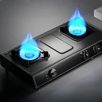Double-head Tabletop Gas Stove Tabletop Double Stainless Stee Cooker Natural Gas Stove Liquefied Gas Fire Stove 2