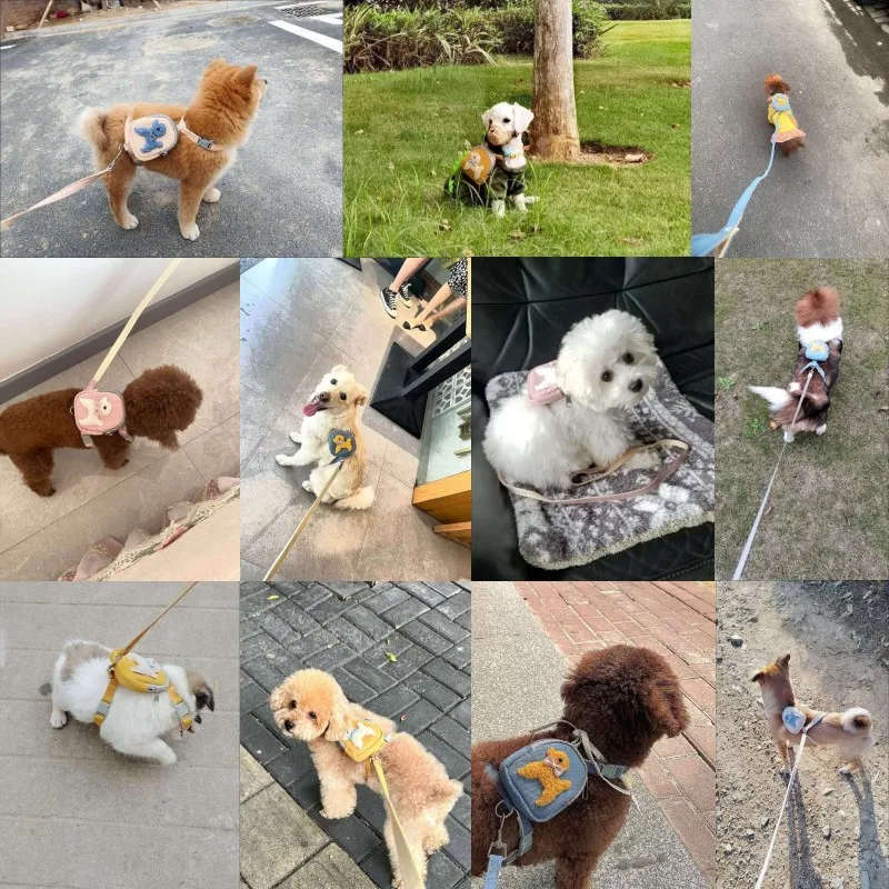 Pet Dog Harness with Bag Cute Animal Print Puppy Harness Vest Pet Cat Backpack with Leash Set Chihuahua Dog Accessories