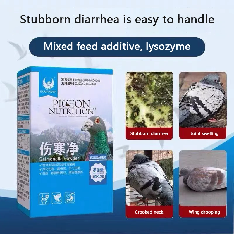 Racing pigeon pigeon diarrhea crooked neck typhoid stop Salmonella