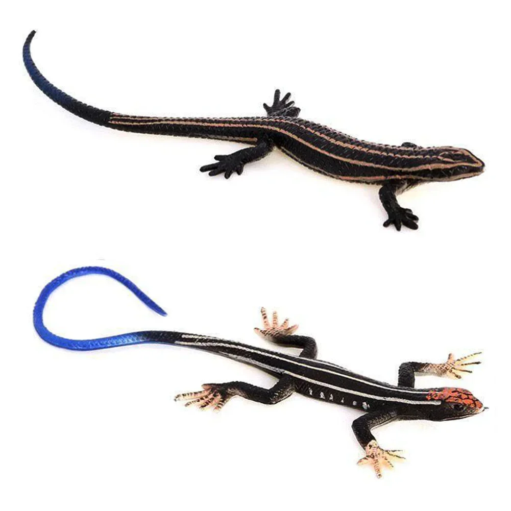 Safe Simulation Lizard Ornament Reptile Iguana Animal Model Decoration Children's Animal Enthusiast Education Gift