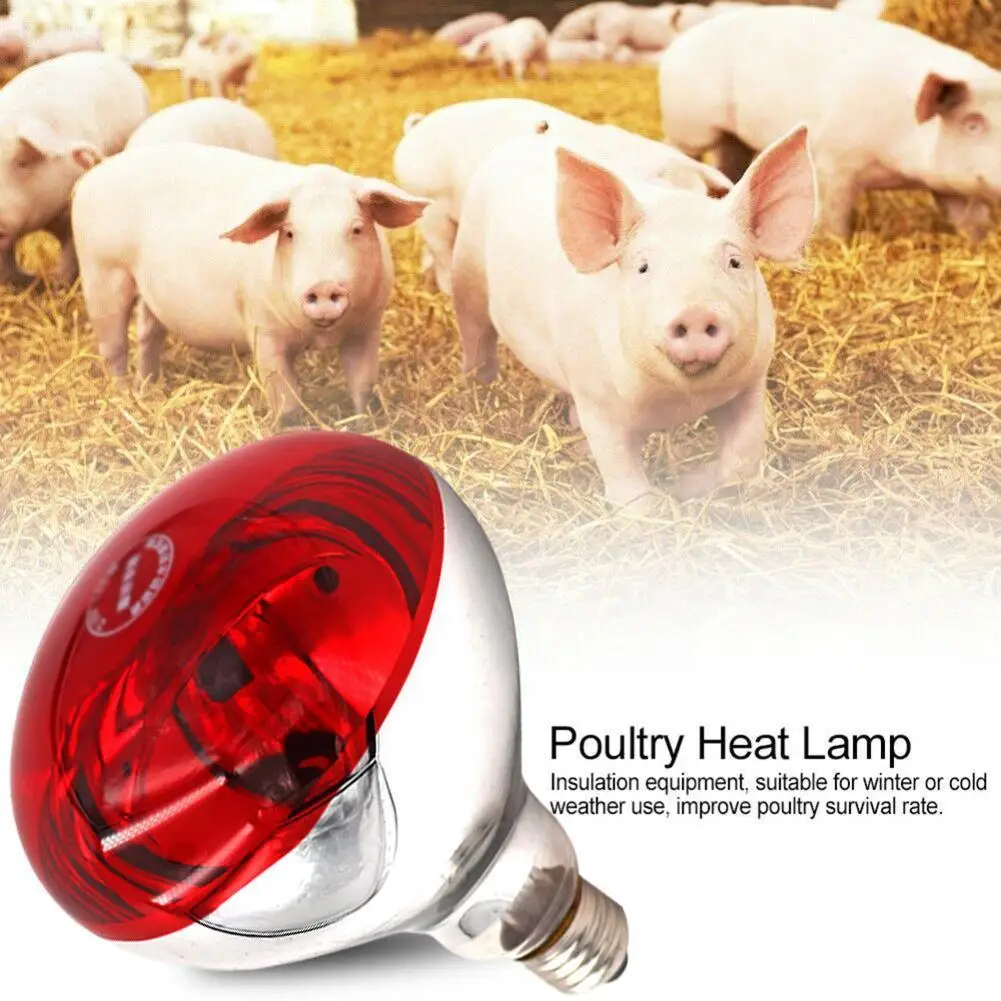 Reptile Heating Lamp Reptile Light Bulb Reptile Lamp Bulb Heating Lamp Bulb Poultry Heating Bulb Pet Infrared Basking Spot Lamp Farm Light Thermal Preservation Lamp Reptile Heat Thermal Heat Animals Warm Chicken Pig D1W9