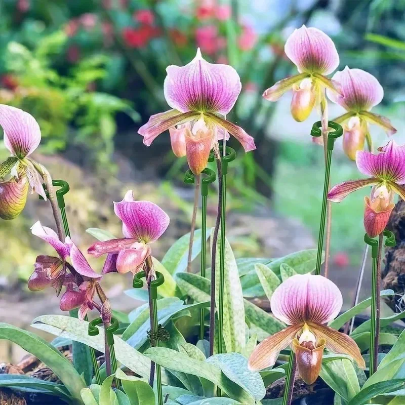 Plastic Plant Supports Sticks Flower Stand Reusable Protection Fixed Tools Gardening Supplies Vegetable Holder Bracket 10/1pcs Plastic Plant Supports Plant Support Stick