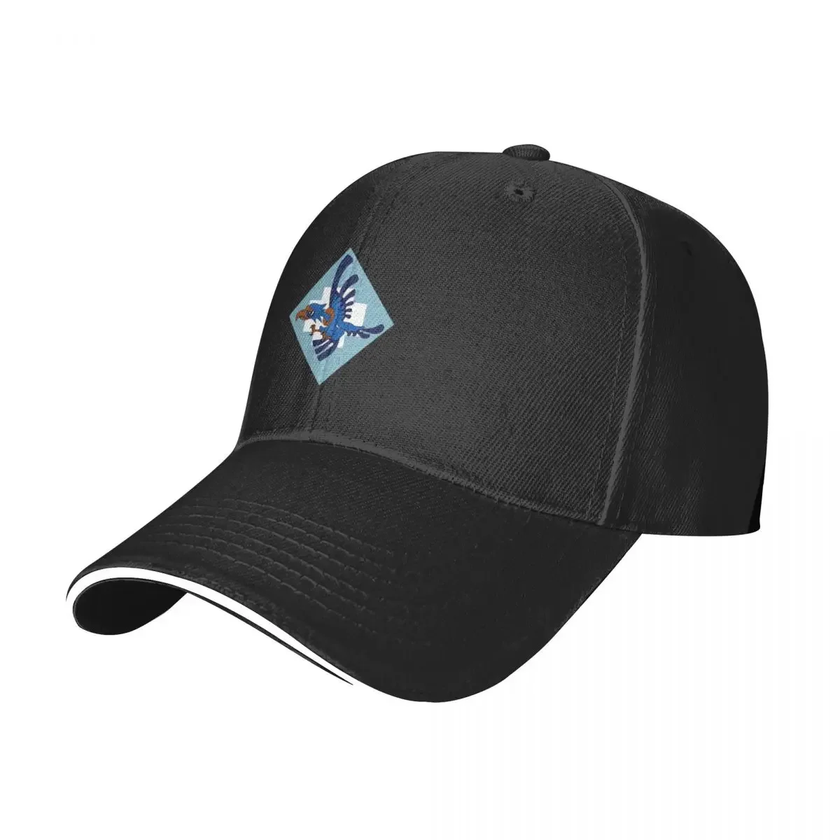 

Polish SZ RP - No. 317 Fighter Squadron Wileński - Clean Style Baseball Cap beach hat Streetwear Custom Cap Woman Hats Men's