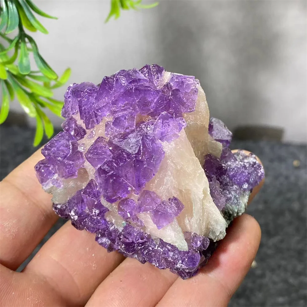 Crystal India Fluorite Specimen Raw Natural Beauty Quartz Gemstone Quartz Reiki Stone Beauty Minerals House Decoration Healing 3