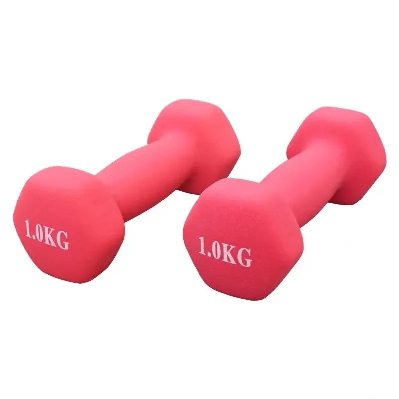 High Quality Weights Lifting Gym Fitness Equipment Vinyl Dumbbell/1KG Neoprene Dumbbell Set For Sale