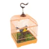 Voice Control Birdcage Toy Tots Toys Realistic Sounds Electronic Talking Chirping Parrot Parakeet 2