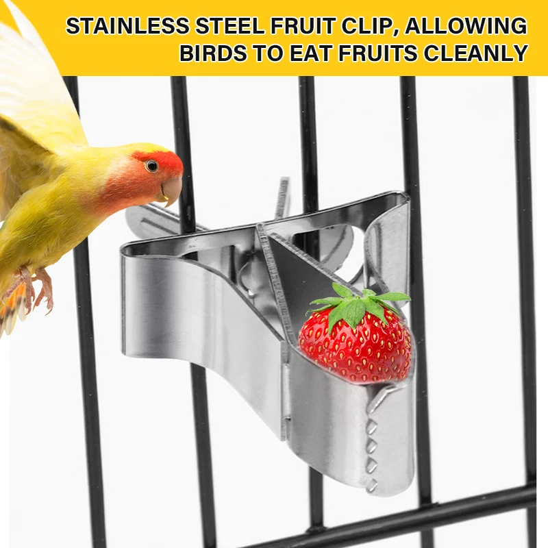 Parrot Feeder Stainless Steel Parrot Fruit Vegetable Feeding Clip Small Animals