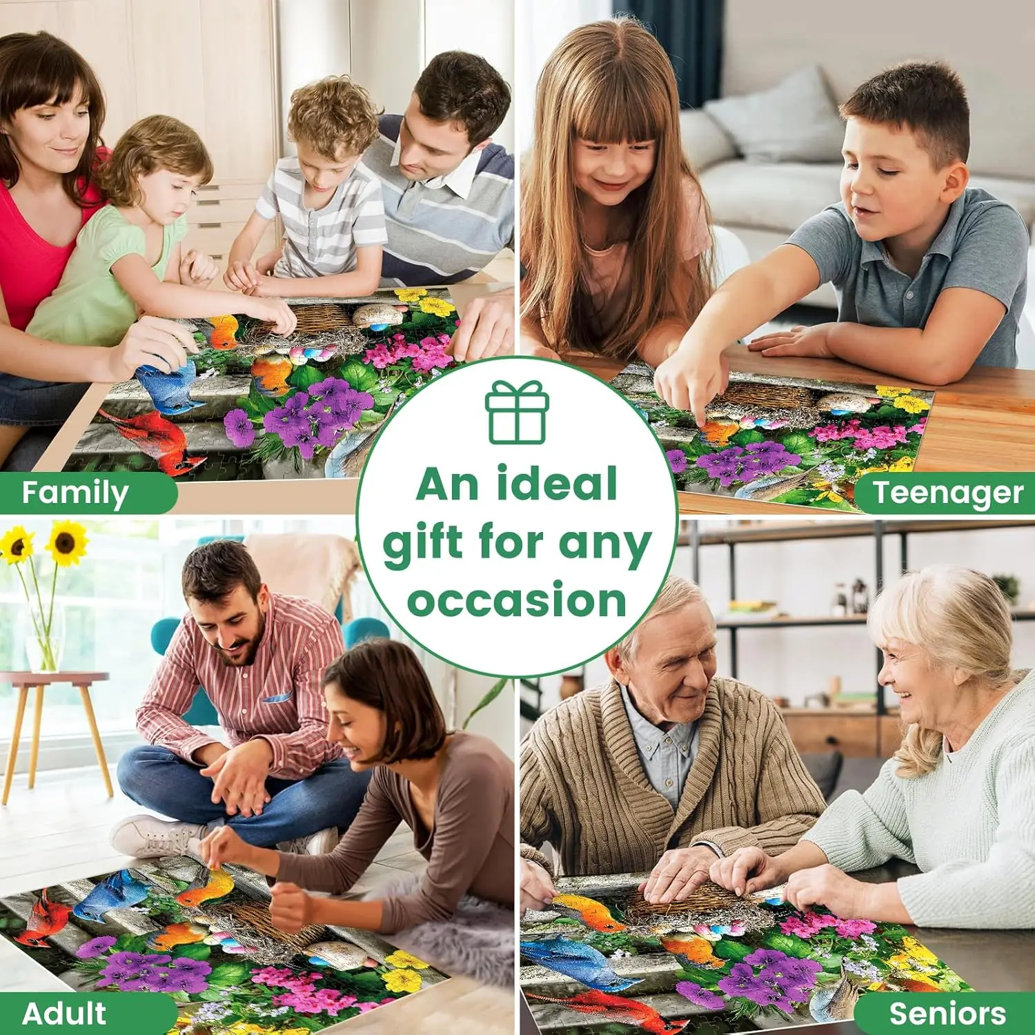 300 Pieces Puzzles for Colorful Birds Jigsaw Puzzles for Gameroom Bedroom Livingroom Challenging Family Activity Games