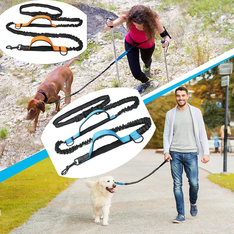 Reflective Double Elastic Retractable Dog Leash - Wholesale Pet Supplies