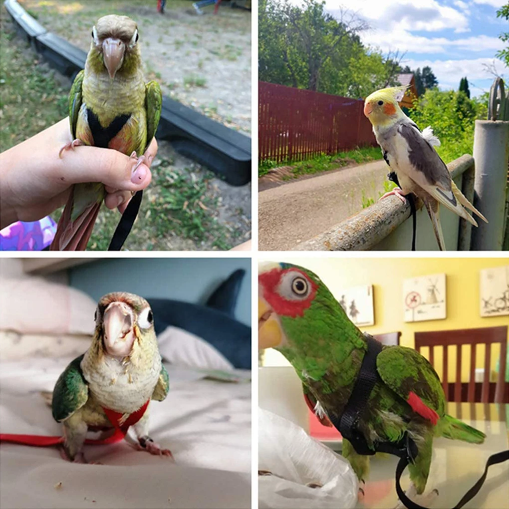 Adjustable Bird Leash And Harness Convenient And Durable Made With Nylon Easy To Wear Parrot Harness