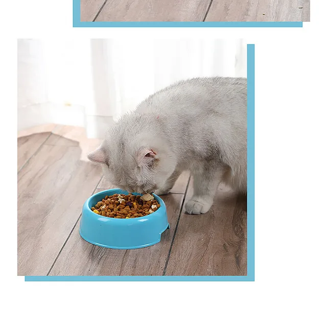 Pet Dog Cat Bow lRound Water Food Feeder Feeding Drinking Round Bowl for Dogs Cats Kitten Puppy Small Animal Pet Accessories 2