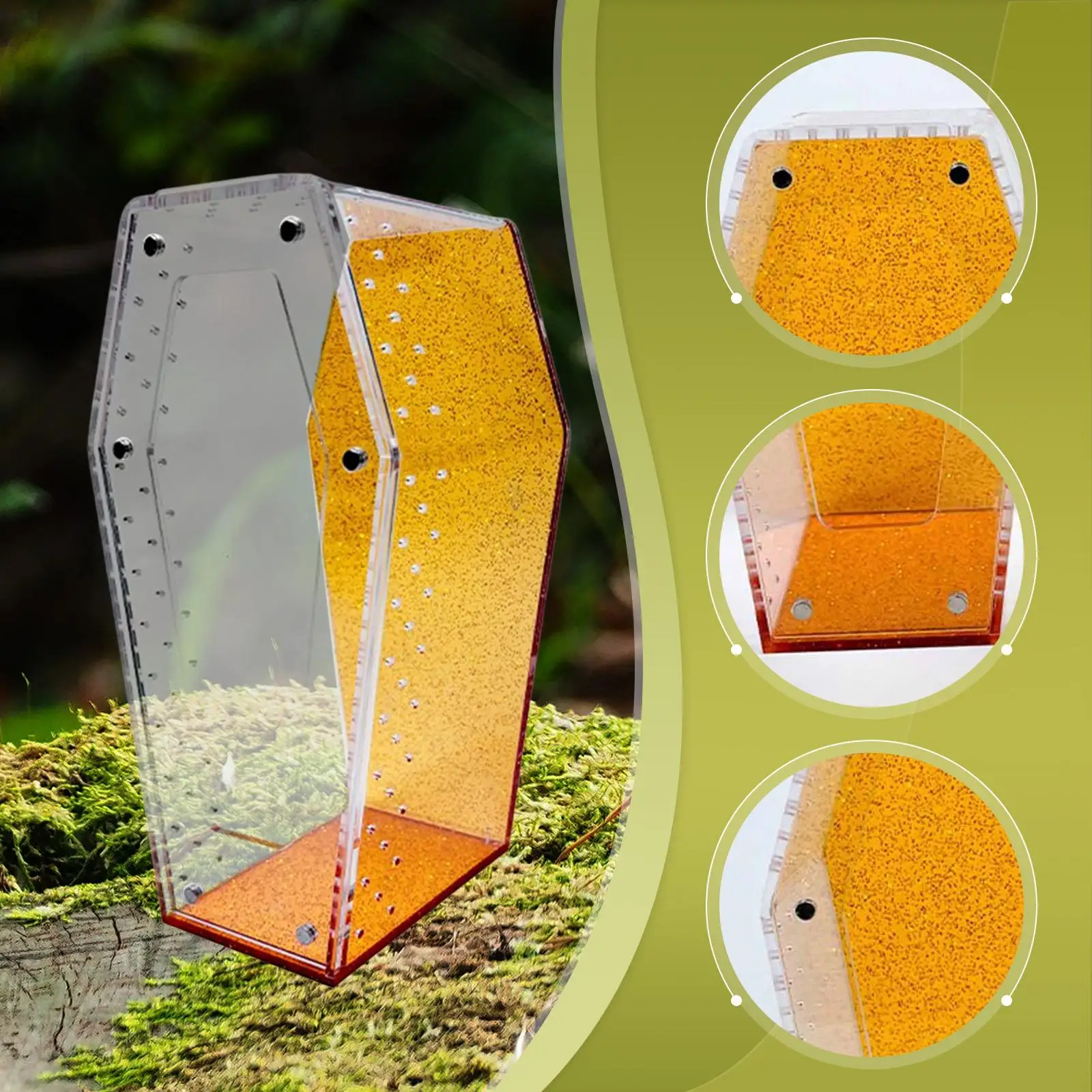 Small Acrylic Terrarium Accessories Spider Cage Coffin Shaped Tank for Reptile Amphibian Vivarium Display