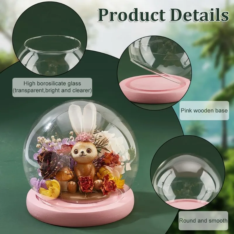 Glass Dome Glass Display Showcase Decorative Display Dome Miniature Case Snowglobe for Fairy Lights Plants Flower 1 Set