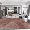 Light Luxury Minimalism Large Living Room Carpet Solid Color Home Decoration Bedroom Rug 200x300 Grey Soft Non-slip Floor Mats 4